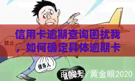 信用卡逾期查询困扰我，如何确定具体逾期卡片并解决问题？