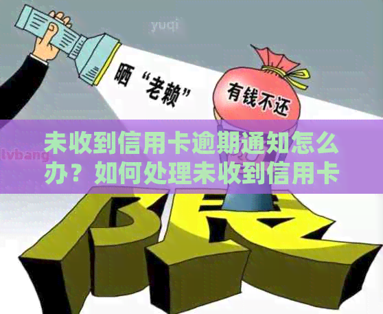 未收到信用卡逾期通知怎么办？如何处理未收到信用卡的逾期情况？