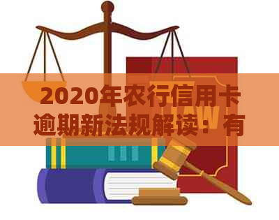 2020年农行信用卡逾期新法规解读：有哪些关键内容？