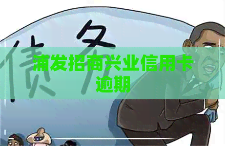 浦发招商兴业信用卡逾期