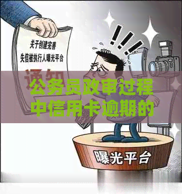 公务员政审过程中信用卡逾期的影响及解决办法