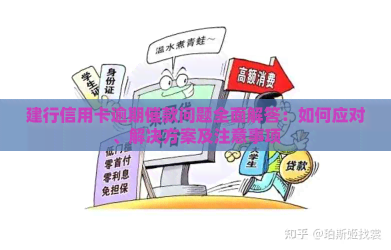 建行信用卡逾期催款问题全面解答：如何应对、解决方案及注意事项