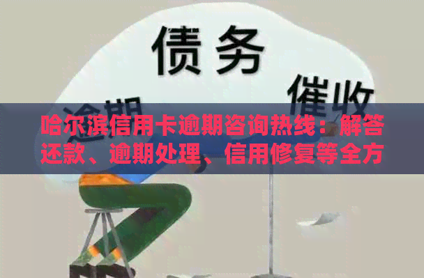 哈尔滨信用卡逾期咨询热线：解答还款、逾期处理、信用修复等全方位问题