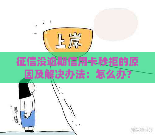 没逾期信用卡秒拒的原因及解决办法：怎么办？