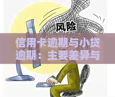 信用卡逾期与小贷逾期：主要差异与应对策略