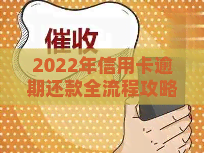 2022年信用卡逾期还款全流程攻略：如何处理、期还款及罚款等相关问题