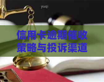 信用卡逾期策略与投诉渠道详解：如何有效应对并解决问题？