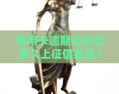 信用卡逾期还款后多久上系统？逾期记录如何处理以及影响因素解析