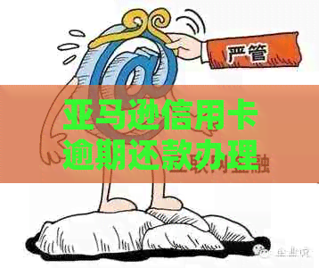 亚马逊信用卡逾期还款办理指南：如何重新安排支付计划并避免影响信用评分