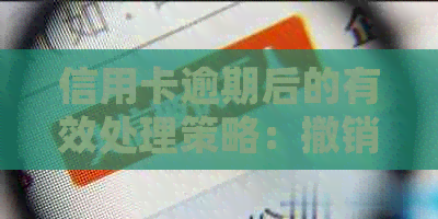 信用卡逾期后的有效处理策略：撤销信用额度恢复信用