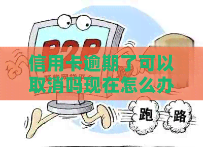 信用卡逾期了可以取消吗现在怎么办？逾期后是否还能办理信用卡？