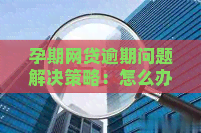 孕期网贷逾期问题解决策略：怎么办？影响如何？无力偿还？