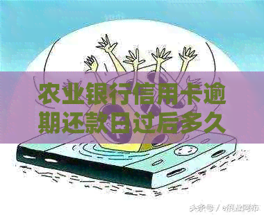 农业银行信用卡逾期还款日过后多久才会产生扣费失败？