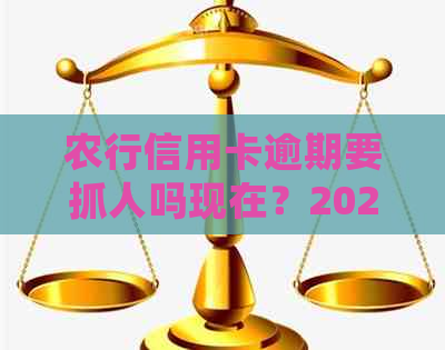 农行信用卡逾期要抓人吗现在？2021新法规如何处理？