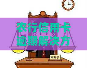 农行信用卡逾期解决方案：如何处理、影响与挽救措一文详解