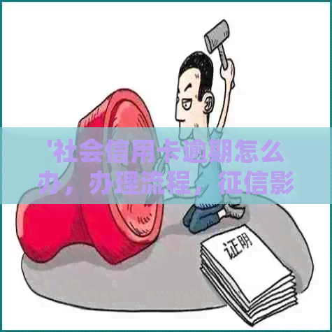 '社会信用卡逾期怎么办，办理流程，影响，银行卡处理'