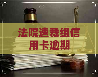 法院速裁组信用卡逾期