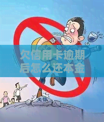 欠信用卡逾期后怎么还本金和利息，逾期的信用卡该如何补救？