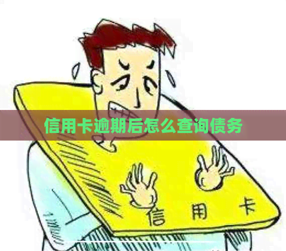 信用卡逾期后怎么查询债务