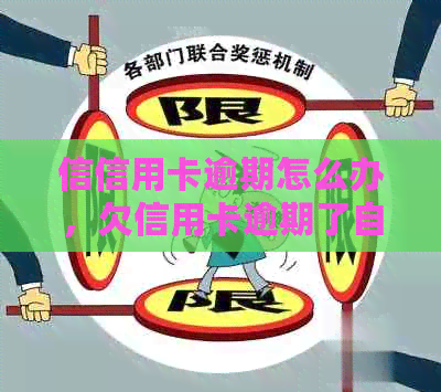 信信用卡逾期怎么办，欠信用卡逾期了自救的办法及2022年信用卡逾期流程