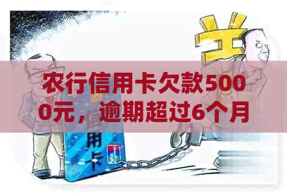 农行信用卡欠款5000元，逾期超过6个月的处理与启示