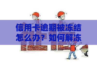 信用卡逾期被冻结怎么办？如何解冻已冻结的信用卡？