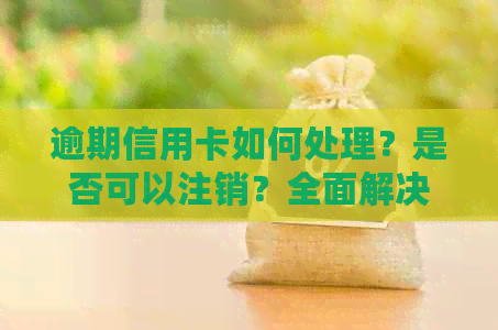 逾期信用卡如何处理？是否可以注销？全面解决用户疑问的方法与步骤