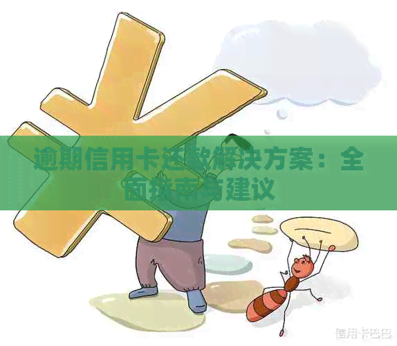 逾期信用卡还款解决方案：全面指南与建议