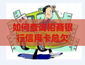 如何查询招商银行信用卡总欠款，以及相关还款和逾期管理方法？