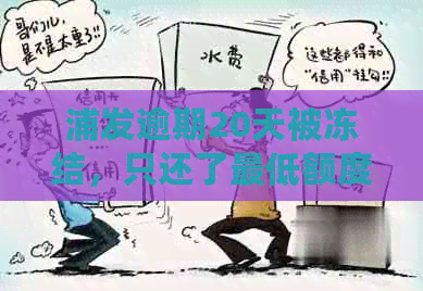 浦发逾期20天被冻结，只还了更低额度怎么办