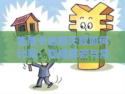 信用卡逾期天数如何计算：权威解答与常见误区