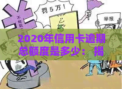 2020年信用卡逾期总额度是多少： 揭示确切数据与金额