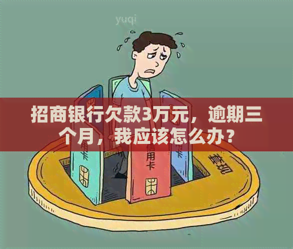 招商银行欠款3万元，逾期三个月，我应该怎么办？