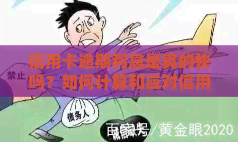 信用卡逾期利息是真的快吗？如何计算和应对信用卡逾期利率？