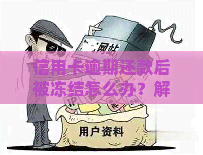 信用卡逾期还款后被冻结怎么办？解决办法和影响分析