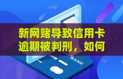 新网导致信用卡逾期被判刑，如何避免信用危机并解决还款问题？