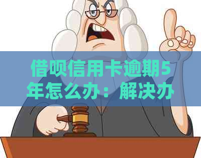 借呗信用卡逾期5年怎么办：解决办法和处理流程