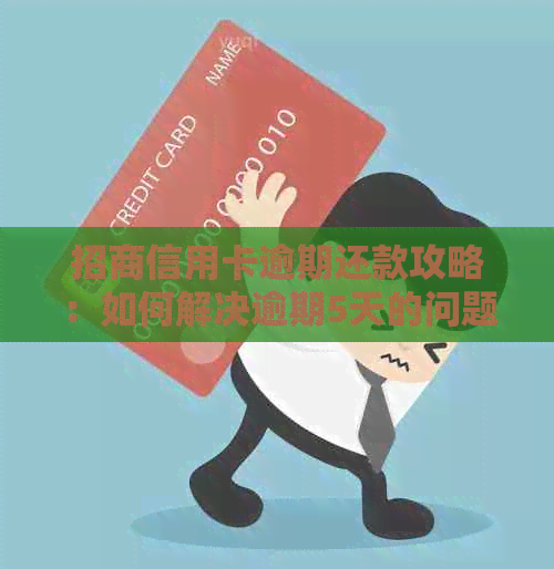 招商信用卡逾期还款攻略：如何解决逾期5天的问题？