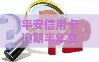 平安信用卡逾期半年立案了怎么办？ 是一个包含所有关键词