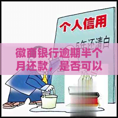 徽商银行逾期半个月还款，是否可以只还更低还款额？