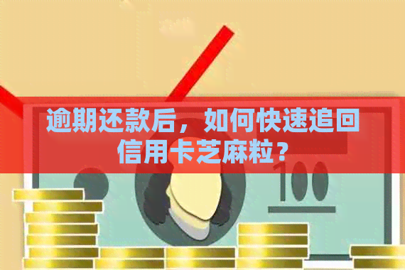 逾期还款后，如何快速追回信用卡芝麻粒？