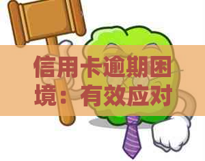 信用卡逾期困境：有效应对策略与自我挽救之道