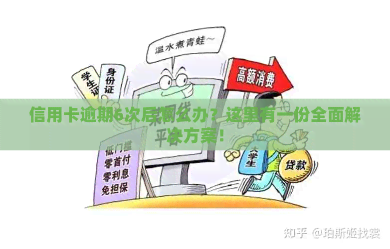 信用卡逾期6次后怎么办？这里有一份全面解决方案！