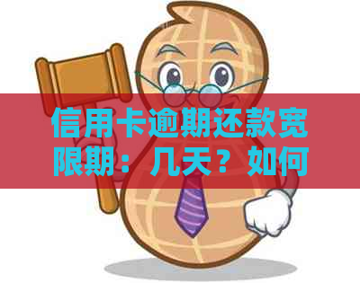 信用卡逾期还款宽限期：几天？如何应对？