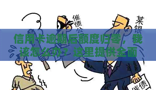 信用卡逾期后额度归零，我该怎么办？这里提供全面解决方案！