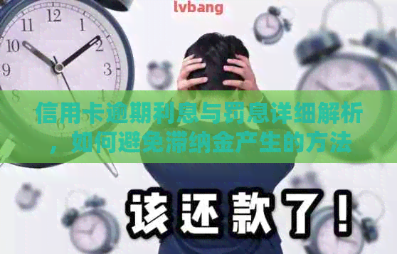 信用卡逾期利息与罚息详细解析，如何避免滞纳金产生的方法