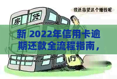 新 2022年信用卡逾期还款全流程指南，如何避免罚息和信用损失