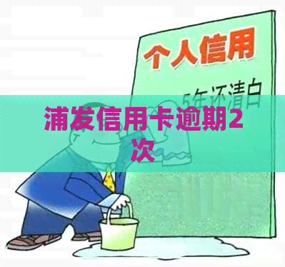 浦发信用卡逾期2次