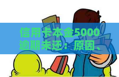 信用卡本金5000逾期未还：原因、影响与解决办法