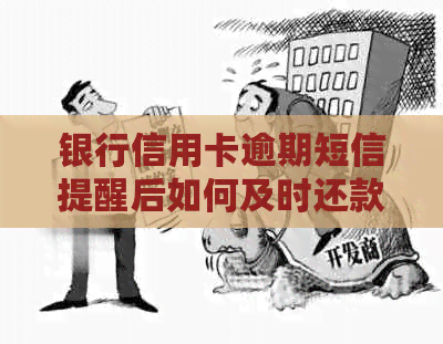 银行信用卡逾期短信提醒后如何及时还款？完整指南助您解决逾期还款问题